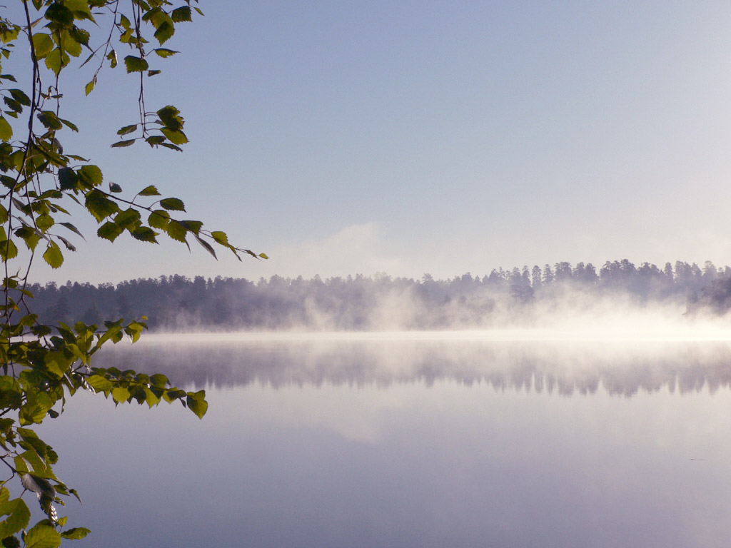 mist-at-lake-3